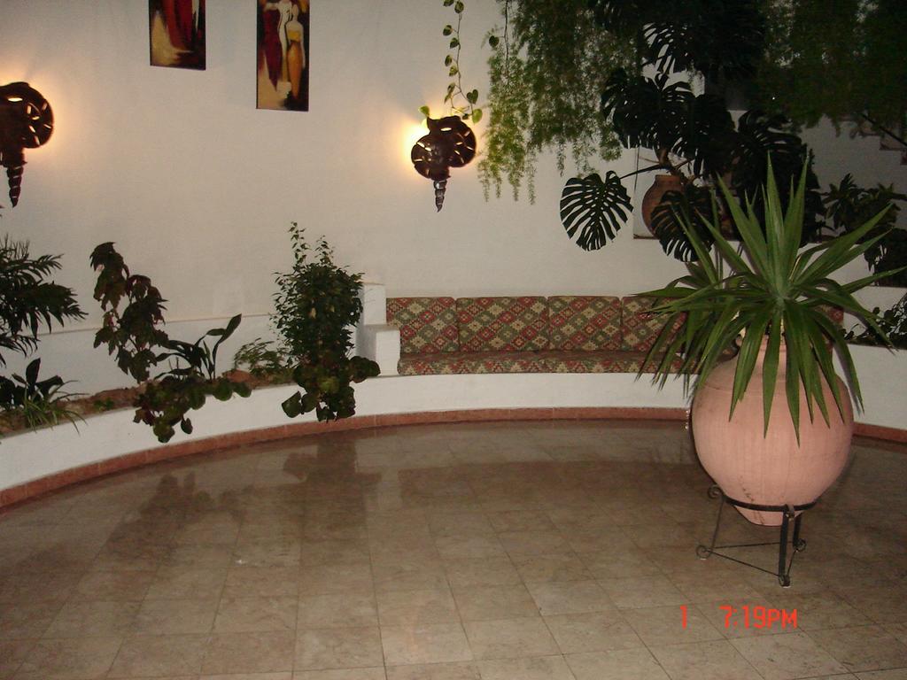 Apartamento Jeannie's Oura Estrela Albufeira Exterior foto